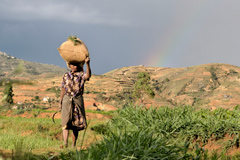 photo madagascar